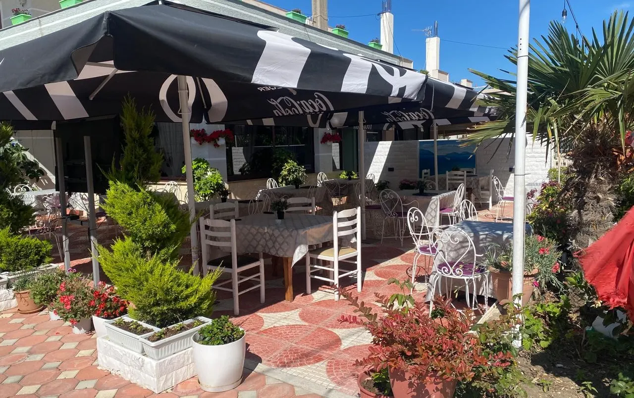Potted cypresses, geraniums and a palm around the tables of the terrace on a sunny day