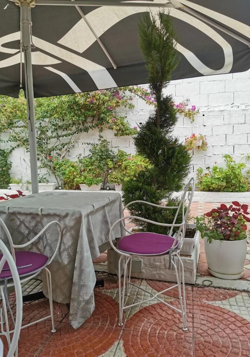 A table laid with a damask cloth, white iron chairs with purple cushions and a spiral cypress